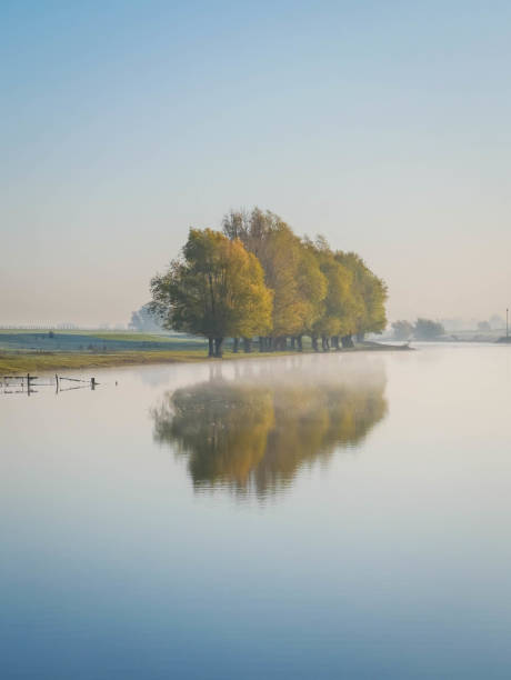 istock Group of colorful trees with reflection on mirror-like water 1189583458