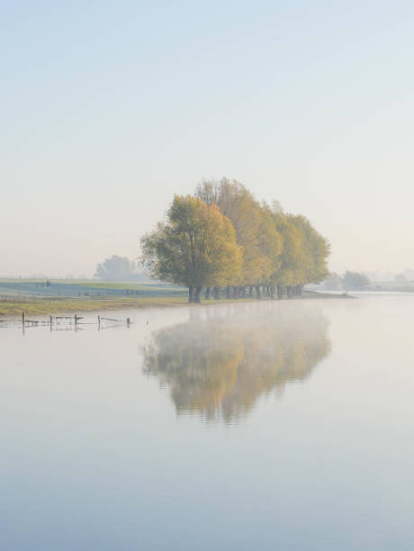 istock Cold morning with trees reflecting on a lake in autumn 1189583465