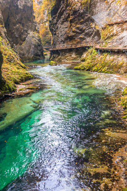 istock SLOVENIA. Vintgar Gorge 1189585722