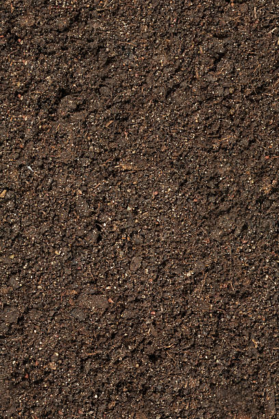 istock A picture of brown potting soil 118959005