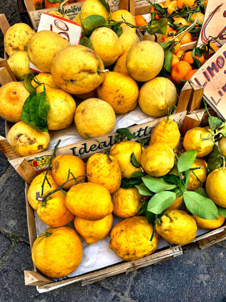 istock Lemons in Sorrento, Italy. 1189591117