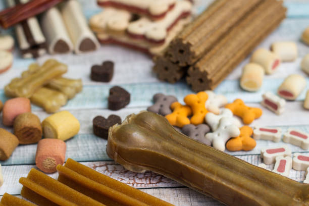 istock Pet food, snacks for dogs 1189591898