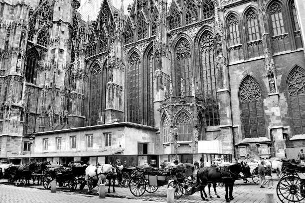 Horse-drawn carriages await outside St. Stephen's Cathedral (Vienna, Austria) St. Stephen's Cathedral (German name: Stephansdom) is a 12th century Roman Catholic church in Vienna, Austria. 
 The building's style can be described as Gothic and/or 	Romanesque.  You can tour through some parts of Vienna on a horse-drawn carriage ride, which can be booked right next to St. Stephen's Cathedral or other locations in Vienna.  This black and white photograph was captured during an overcast day in August of 2008. carriage photos stock pictures, royalty-free photos & images
