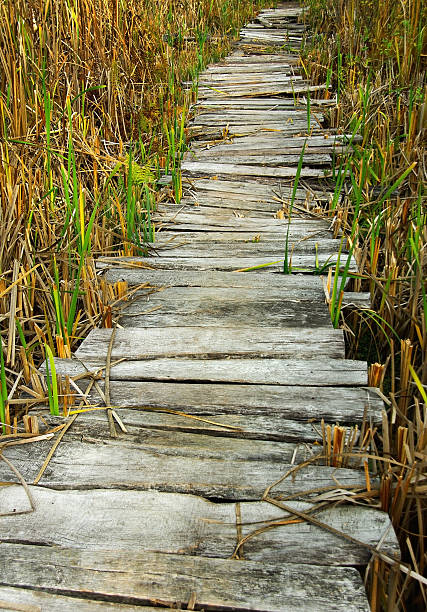 istock wooden planks footbridge 118959435