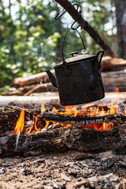 istock A small kettle with water is heated on a fire, in a forest, on a summer sunny day. 1189594712