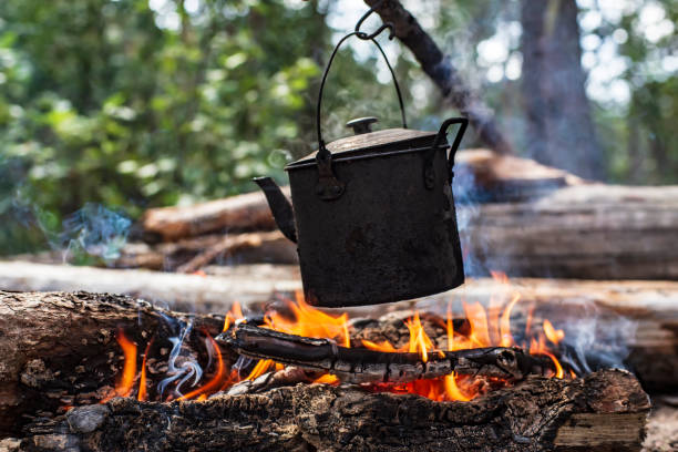 istock A small kettle with water is heated on a fire, in a forest, on a summer sunny day. 1189594774
