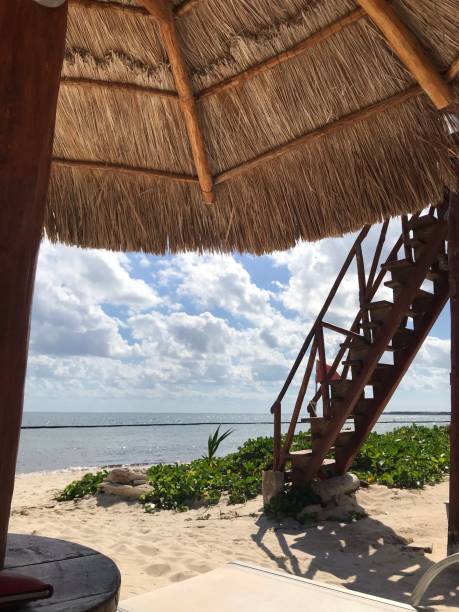 istock White sand beach under a blue clouds sky From a palapas roof 1189596164