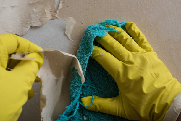 istock Cleaning the wall from old wallpaper 1189598229