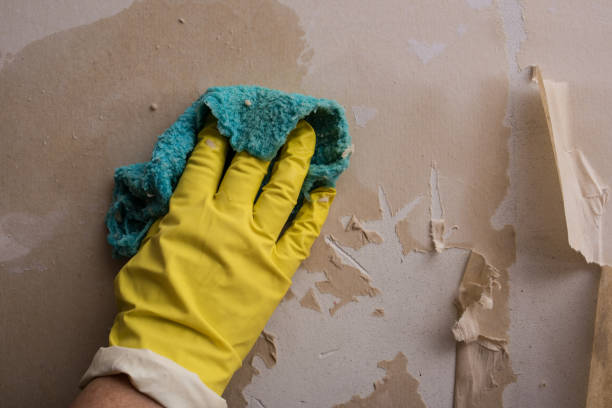 istock Cleaning the wall from old wallpaper 1189598256