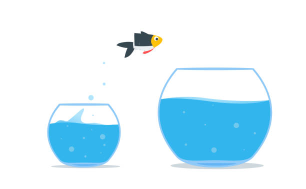 Fish is Jump out of the bowl Fish is Jump out of the bowl. Isolated Vector Illustration goldfish bowl stock illustrations