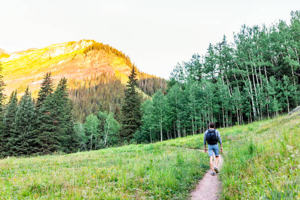 2019年8月の夏の朝とピークにコロラド州シルバートン近くのアイス湖に緑の高山草原の歩道を歩く男性 - footpath single lane road sunrise landscape ストックフォトと画像