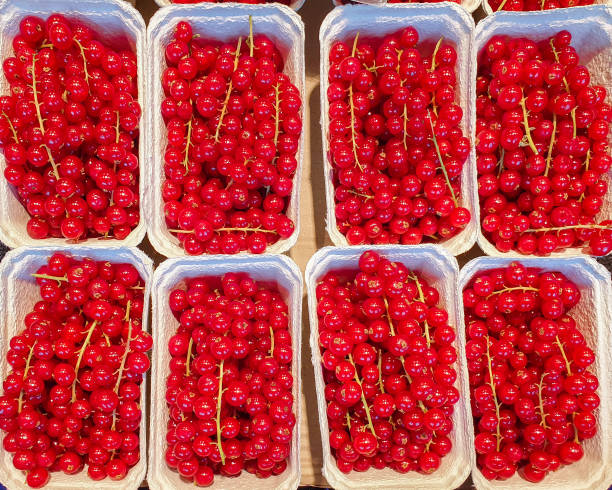 istock Red currants in paper box. Harvest 1189602452