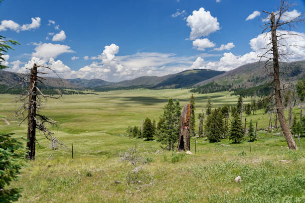 jemez mountain trail scenic byway ใกล้กับ valles caldera - jemez ภาพสต็อก ภาพถ่ายและรูปภาพปลอดค่าลิขสิทธิ์