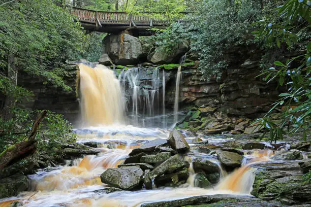 Photo of View at Elakala Falls