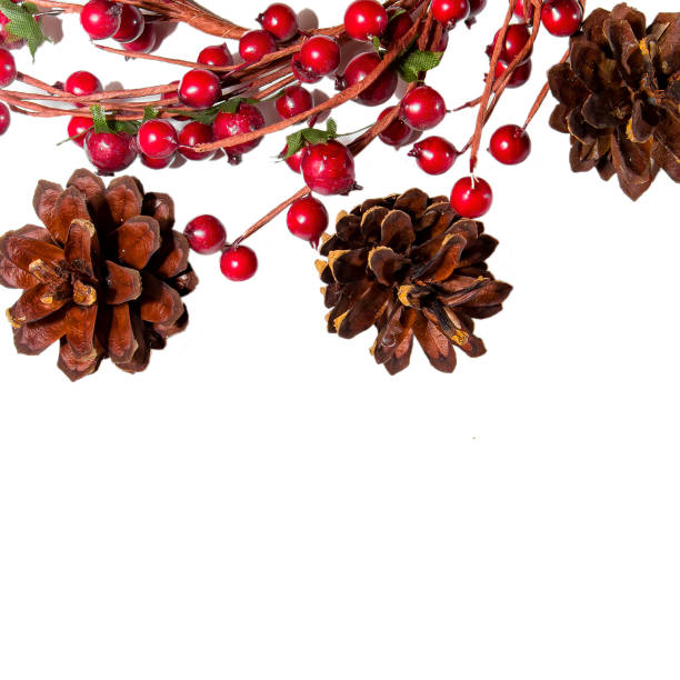 istock Composition of red New Year berries and cones 1189630223
