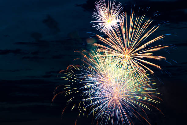 istock Beautiful festive fireworks in the dark sky 1189634088