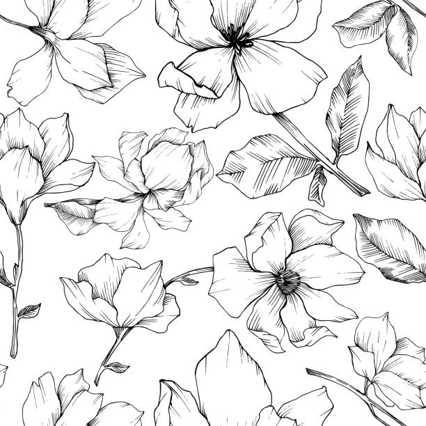 illustrazioni stock, clip art, cartoni animati e icone di tendenza di fiori botanici floreali vector magnolia. arte dell'inchiostro inciso in bianco e nero. modello di sfondo senza soluzione di continuità. - tile wallpaper illustrations