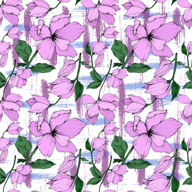 wektor magnolia kwiatowe kwiaty botaniczne. czarno-biała grawerowana sztuka atramentowa. bezszwowy wzorzec tła. - lace pink white black stock illustrations