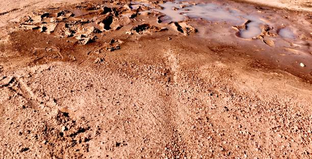 muddy footprints tracks in mud - dirt road textured dirt mud imagens e fotografias de stock