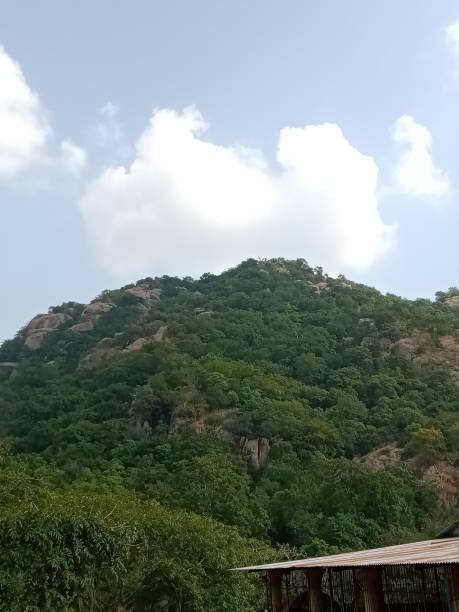 Beauty of Nature
