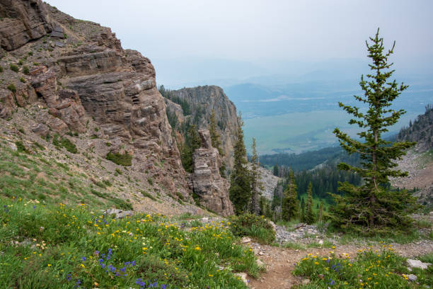 istock Scenic Look in the Tetons 1189669785
