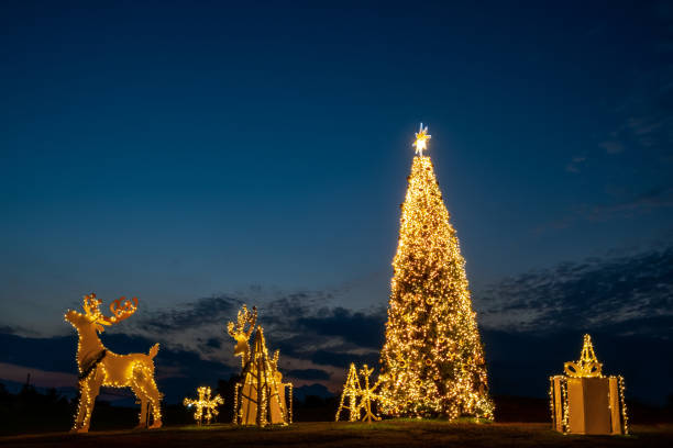 istock Christmas tree and decoration illuminated at courtyard in twilight 1189673122