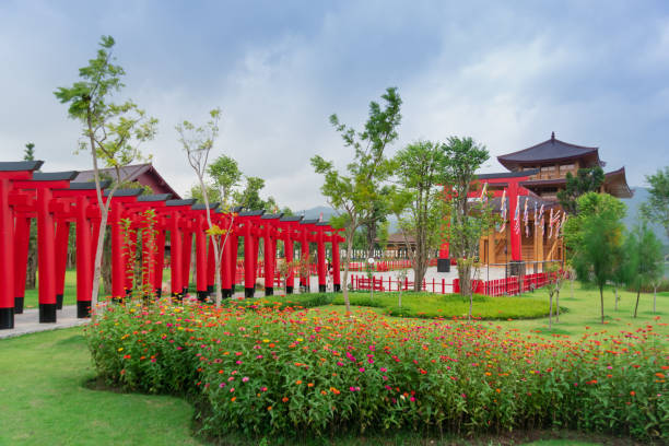 08 noviembre 2019, hinoki tierra (bann mai hom hinoki) constituyen la arquitectura moderna de japón en el distrito de chaiprakarn provincia de chiang mai, tailandia, 08 de noviembre de 2019 - bann fotografías e imágenes de stock