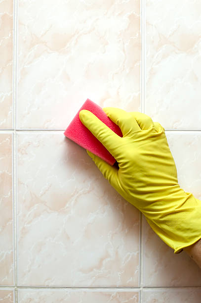 istock Cleaner with gloves  and red sponge 118967631