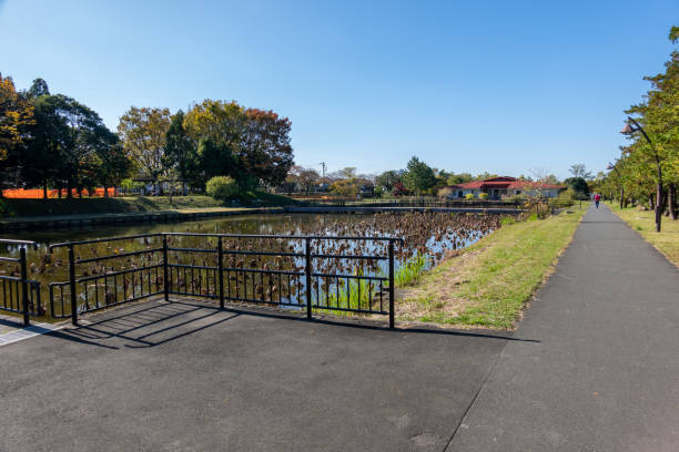 Park in Japan Tokyo, autumn colours Park in Japan Tokyo, autumn colours 11904 stock pictures, royalty-free photos & images