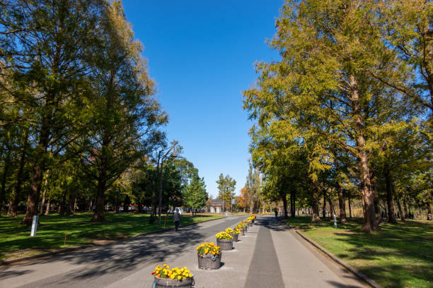 istock Park in Japan Tokyo, autumn colours 1189679078