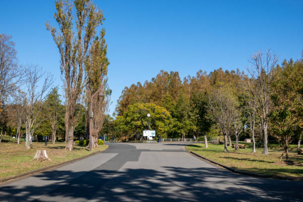 istock Park in Japan Tokyo, autumn colours 1189679083