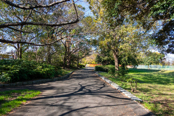 istock Park in Japan Tokyo, autumn colours 1189679090