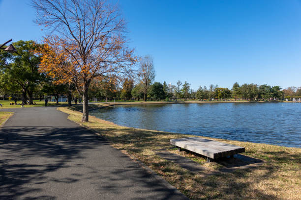 istock Park in Japan Tokyo, autumn colours 1189679105