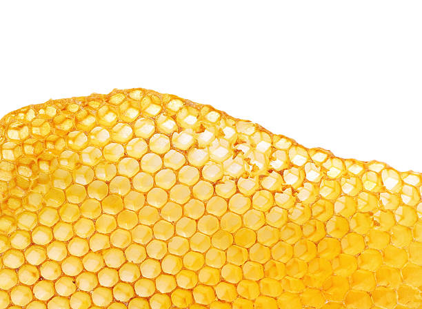 Honeycomb stock photo