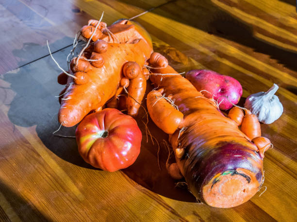 Carrots - white background