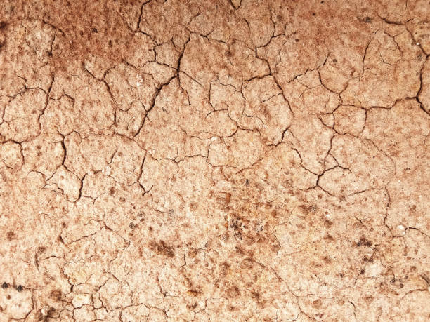 istock The ground has cracks in the top view 1189695084