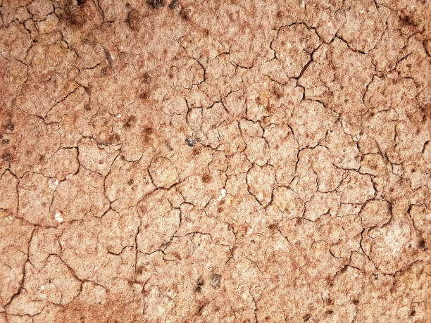 istock The ground has cracks in the top view 1189696132