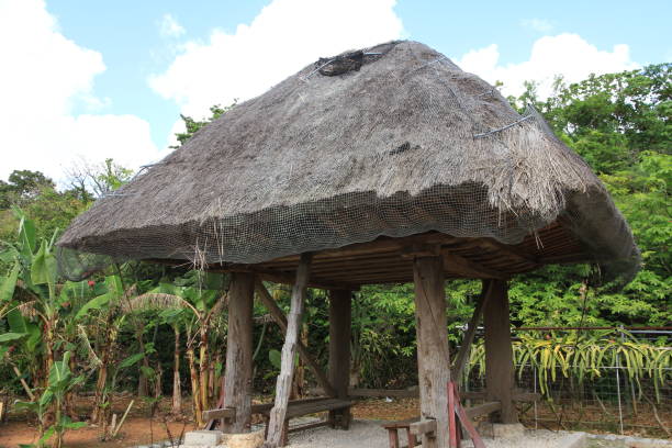 istock Traditional Farm Warehouse in Okinawa, Japan 1189700409