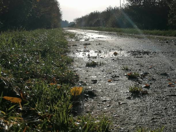 istock Country lane after rain 1189700460