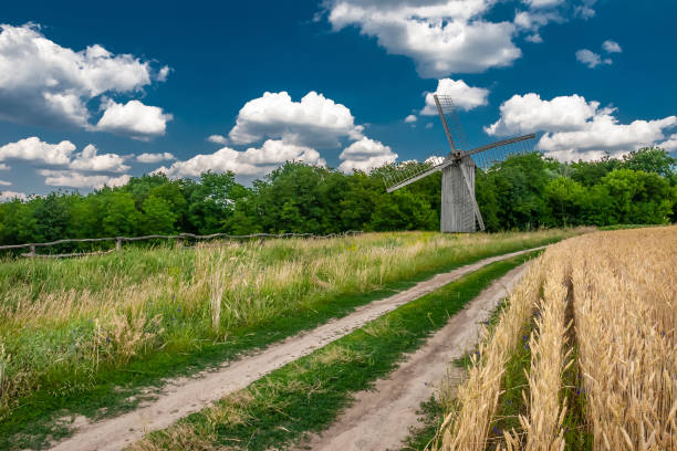 istock The road goes through a wheat field to a windmill 1189700483