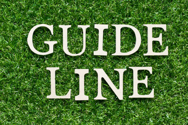 istock Wood alphabet letter in word guideline on artificial green grass background 1189702469