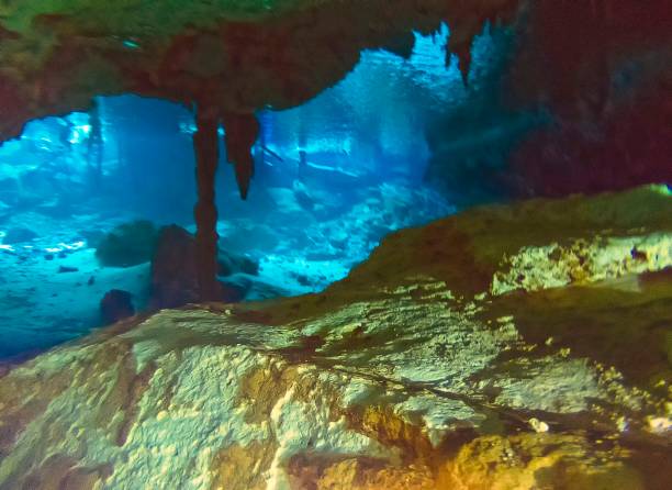 Underwater formations in the Dos Ojos cenote near Tulum, Mexico
