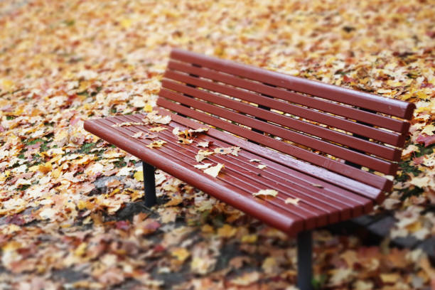 istock Empty bench with maple leaves in autumn park 1189705464