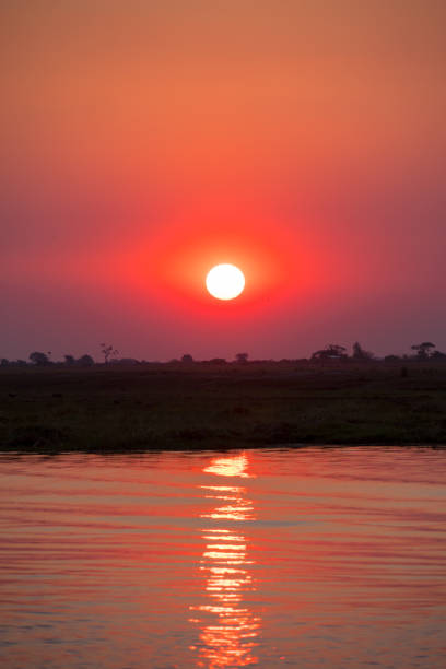 istock Sunset in Chobe National Park, Botswana 1189705516