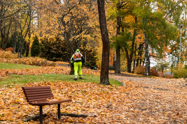 istock Worker in autumn park with a leaf blower 1189705609