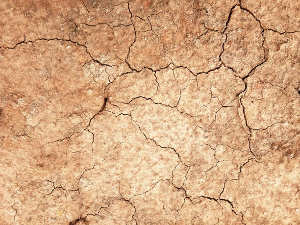 istock The ground has cracks in the top view 1189706724