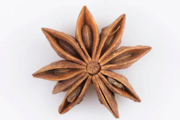 Chinese star anise seed isolated over the white background