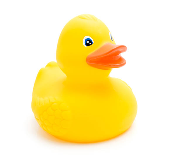 istock One yellow rubber ducky toy on a white surface 118970741