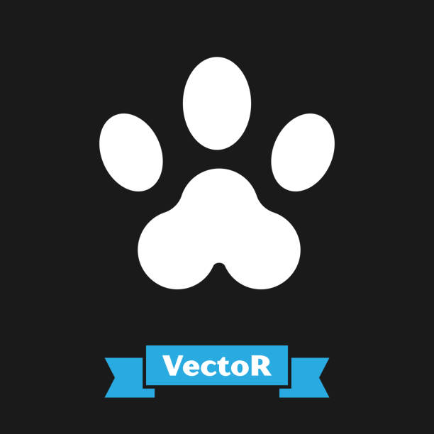 istock White Paw print icon isolated on black background. Dog or cat paw print. Animal track.  Vector Illustration 1189709409