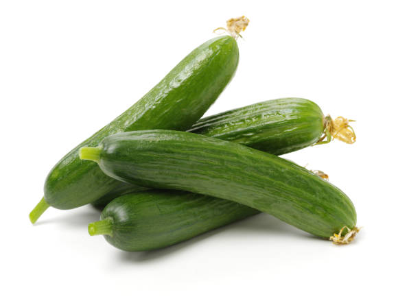 Lebanese Cucumber stock photo